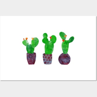 Cactus cacti succulents in pots - mixed media collage Posters and Art